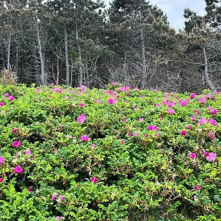 Renovated 70s On Nature Plot